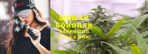 гашик Алексеевка