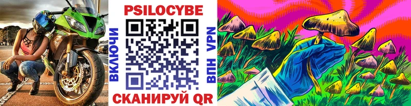 Псилоцибиновые грибы MAGIC MUSHROOMS  где можно купить наркотик  Приволжск 
